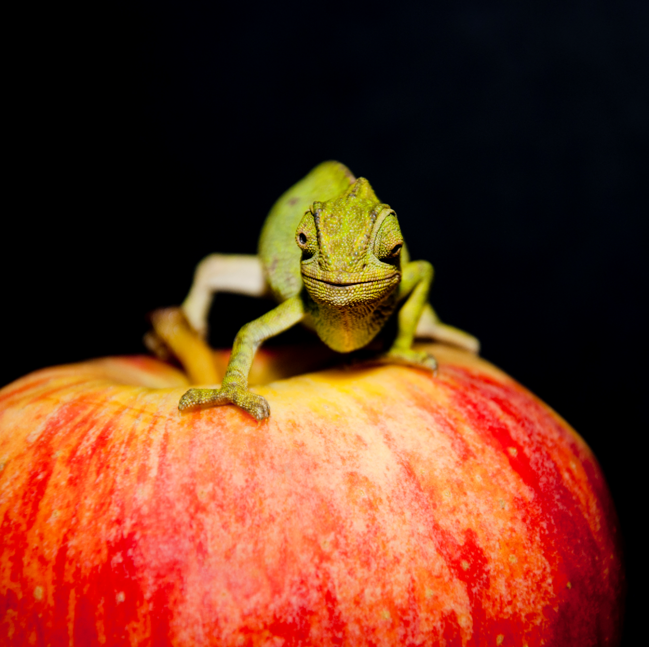 Albufeirense Júlio Antão apresenta nova exposição intitulada A.R.T.E.