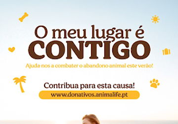 Animalife lança campanha contra o abandono de animais