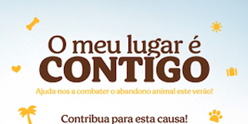 Animalife lança campanha contra o abandono de animais