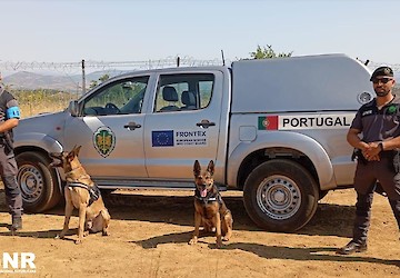 GNR assinala o Dia Mundial do Cão