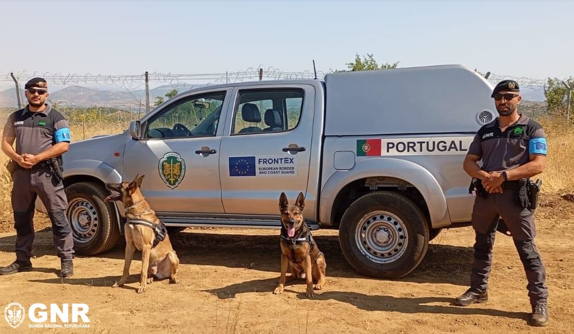 GNR assinala o Dia Mundial do Cão