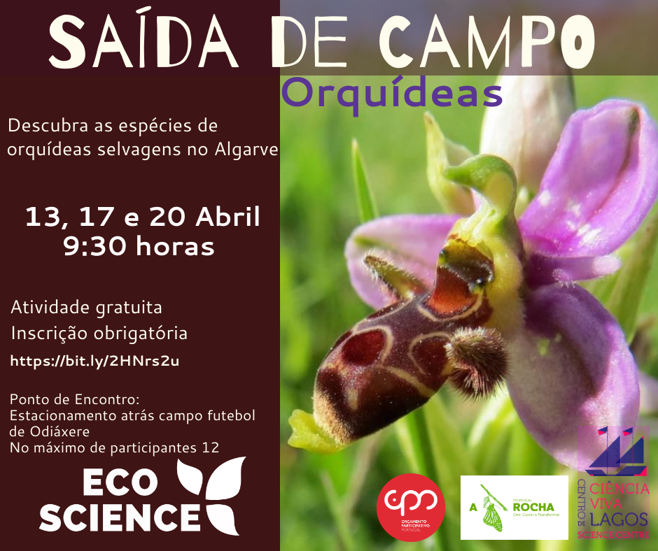 Saídas de Campo Projeto EcoScience – OPP Portugal