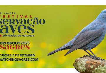 Abrem hoje as inscrições para o maior festival de aves e natureza do país