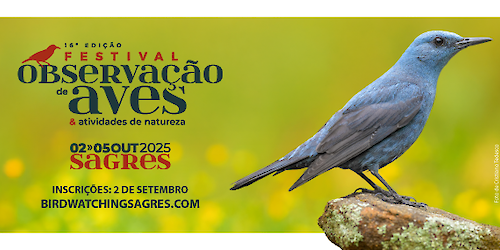 Abrem hoje as inscrições para o maior festival de aves e natureza do país