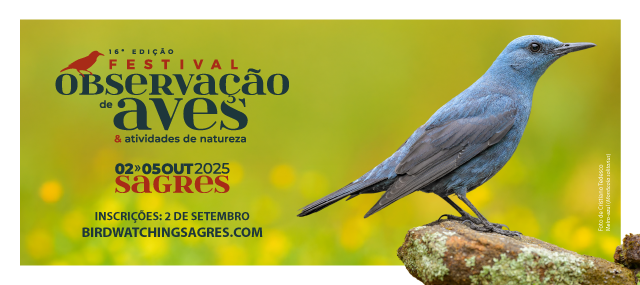 Abrem hoje as inscrições para o maior festival de aves e natureza do país