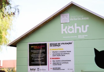 Município de VRSA avança com programa de bem-estar animal  para proteger colónias de gatos