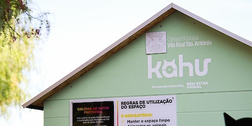 Município de VRSA avança com programa de bem-estar animal para proteger colónias de gatos