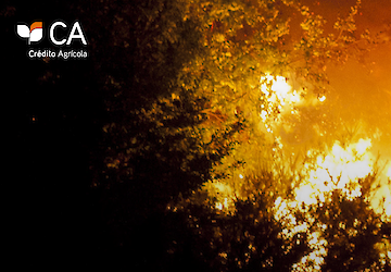 Crédito Agrícola anuncia medidas extraordinárias de apoio às vítimas dos incêndios