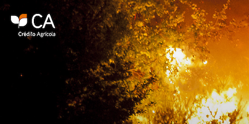 Crédito Agrícola anuncia medidas extraordinárias de apoio às vítimas dos incêndios
