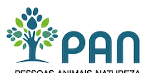 PAN Algarve alerta para criminalidade organizada na costa algarvia