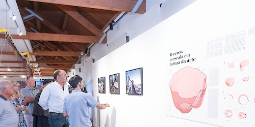 Confraria Gastronómica da Sardinha de Portimão apresentou novidades na inauguração da exposição “Sardinha – o sem fim da pesca do cerco”