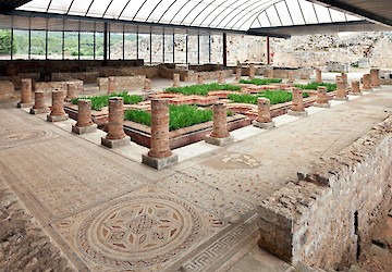 Aquisição de terrenos arqueológicos em volta de Conímbriga vai melhorar a nossa História