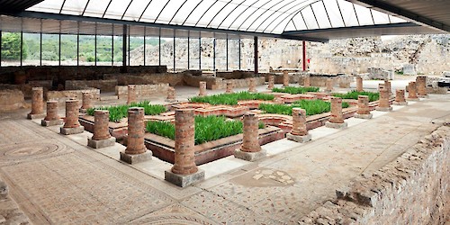 Aquisição de terrenos arqueológicos em volta de Conímbriga vai melhorar a nossa História