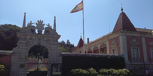 Os filhos do Rei que foram escondidos. "Os Palhavã".