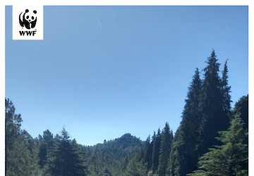 WWF Portugal lança iniciativa nacional de restauro ecológico