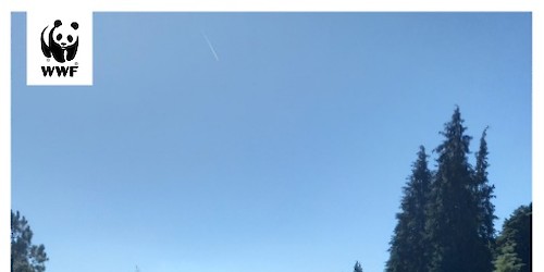 WWF Portugal lança iniciativa nacional de restauro ecológico