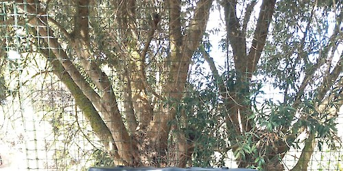 EMARP incentiva a compostagem doméstica e reforça o seu compromisso ambiental com a oferta de compostores