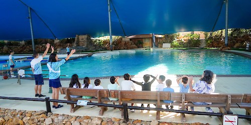 Zoomarine e ULS - Algarve proporcionam experiência especial a crianças e jovens com doença