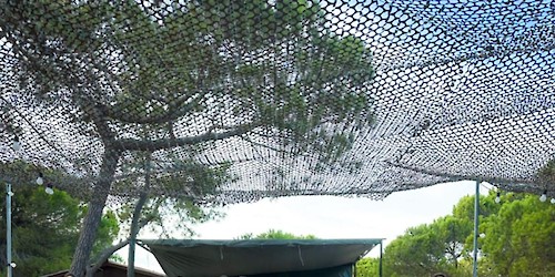 Jovens portugueses e espanhóis celebram os 40 anos da adesão de Portugal e Espanha à União Europeia nas Jornadas da Juventude Triplo AAA