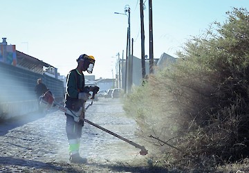 Município de Faro lança operação integrada #CuidarFaro para requalificação do espaço público