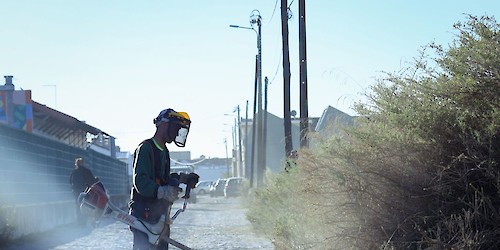 Município de Faro lança operação integrada #CuidarFaro para requalificação do espaço público