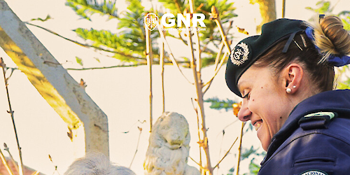 Balanço da Operação “Censos Sénior 2025”