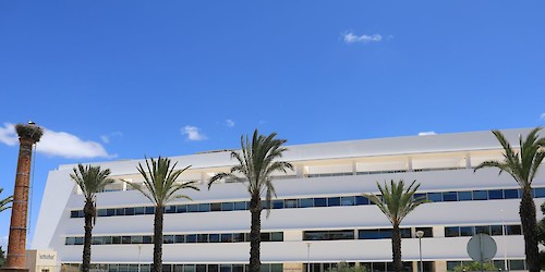 Já pode ser pedida a redução de IMI para imóveis arrendados em Lagos