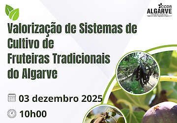 Valorização de Sistemas de Cultivo de Fruteiras Tradicionais do Algarve: Sessão Técnica em Tavira