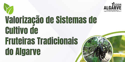 Valorização de Sistemas de Cultivo de Fruteiras Tradicionais do Algarve: Sessão Técnica em Tavira