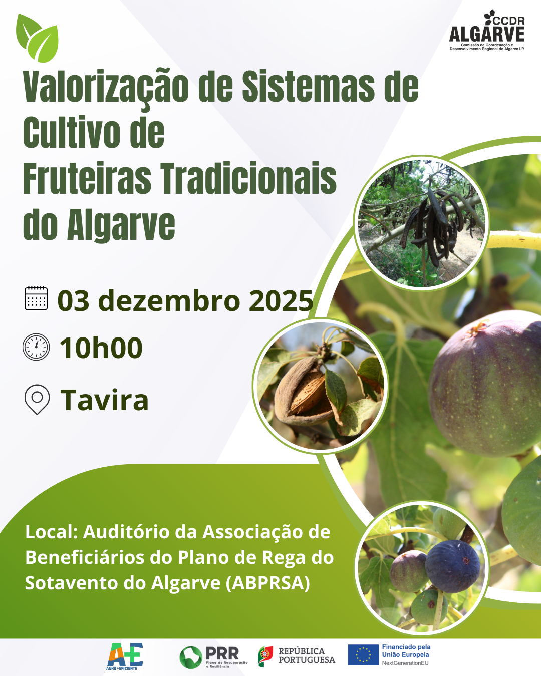 Valorização de Sistemas de Cultivo de Fruteiras Tradicionais do Algarve: Sessão Técnica em Tavira