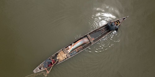 Estudo revela que conhecimento local melhora a sustentabilidade das pescas interligadas