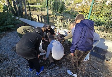 Loulé celebrou Dia da Floresta Autóctone com participação da comunidade escolar