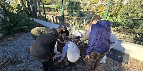 Loulé celebrou Dia da Floresta Autóctone com participação da comunidade escolar