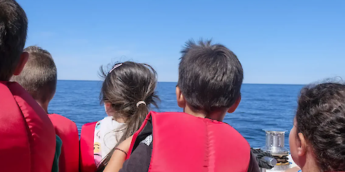 Mais de 300 crianças de Albufeira embarcam numa “Viagem ao Reino Azul”