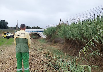 Limpeza das linhas de água no concelho de Lagos