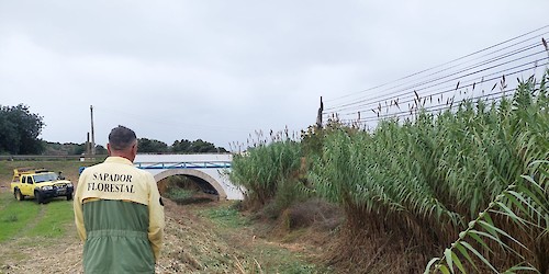 Limpeza das linhas de água no concelho de Lagos
