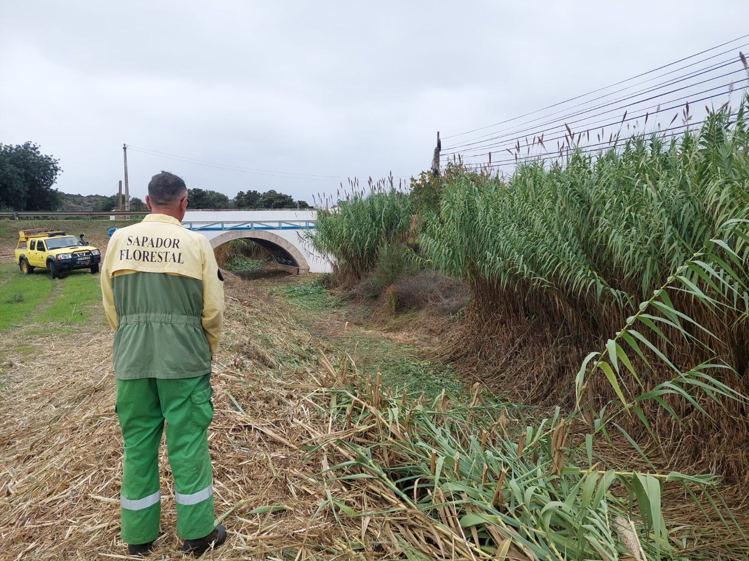 Limpeza das linhas de água no concelho de Lagos