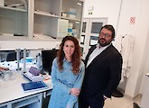 Cientistas da Universidade de Coimbra identificam mecanismo molecular associado a doença neurodegenerativa rara