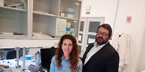 Cientistas da Universidade de Coimbra identificam mecanismo molecular associado a doença neurodegenerativa rara