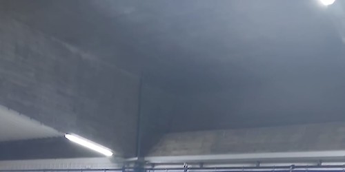 Polícia Marítima apreende cerca de 600kg de pescado em Portimão