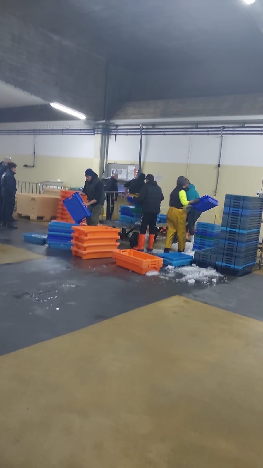 Polícia Marítima apreende cerca de 600kg de pescado em Portimão