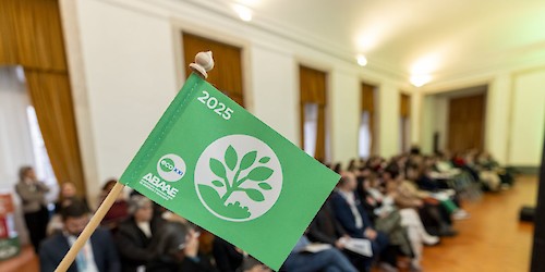 Lagos alcança melhor resultado de sempre no ECO XXI