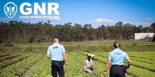 Operação da INTERPOL "Liberterra III" – Combate ao Tráfico de Seres Humanos