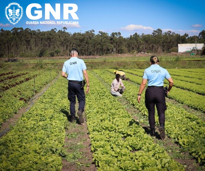 Operação da INTERPOL "Liberterra III" – Combate ao Tráfico de Seres Humanos