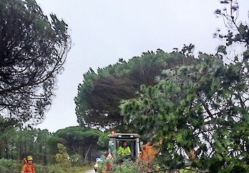 Câmara Municipal de Vila do Bispo faz balanço das intervenções após passagem das depressões Ingrid, Joseph e Kristin