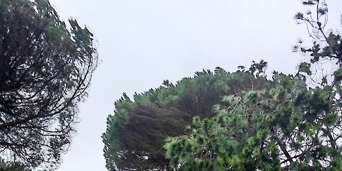 Câmara Municipal de Vila do Bispo faz balanço das intervenções após passagem das depressões Ingrid, Joseph e Kristin