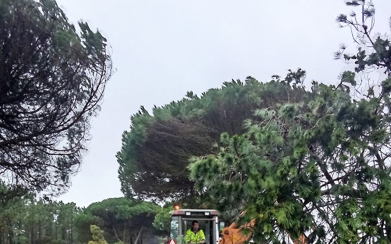 '.$destaque->title.'