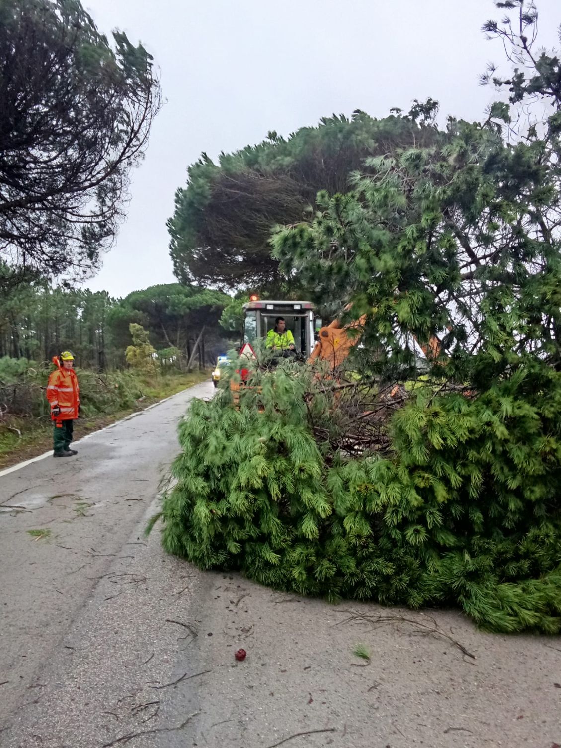 Câmara Municipal de Vila do Bispo faz balanço das intervenções após passagem das depressões Ingrid, Joseph e Kristin