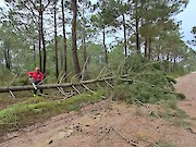 Câmara Municipal de Vila do Bispo faz balanço das intervenções após passagem das depressões Ingrid, Joseph e Kristin - 1
