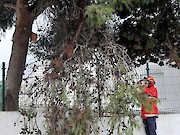 Câmara Municipal de Vila do Bispo faz balanço das intervenções após passagem das depressões Ingrid, Joseph e Kristin - 1